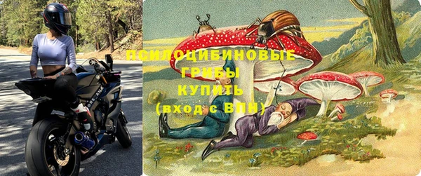 дурь Бородино